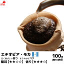 エチオピア・モカ 100g コーヒー豆 