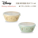 Disney ミッキー 抗菌 保存容器 2色セット フタをしたままレンジOK 食洗機対応 レンジ対応 日本製 樹脂 軽量 丸洗いOK かわいい おしゃれ 人気 シンプル 北欧風 お揃い ギフト くすみカラー ランチ やさしい 割れない食器 夏休み KANO