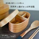 【フタをしたままレンジOK】 木製 曲げわっぱ弁当箱 ほんとうに使いやすい 曲げわっぱ レンジ対応 食洗機対応 S M L 仕切付 バンド付 天然杉 弁当箱 ランチボックス 和風 木目 オフィス 遠足 ピクニック ナチュラル シンプル おすすめ 人気 女性 男性 天然木 かのりゅう