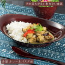 【食洗機対応】ハウスホールド カレー&パスタ皿 赤溜 クリーンコート加工【電子レンジ対応】日本製 山中塗 食器 カレー皿 パスタ皿 中皿 盛皿 和食 洋食 便利...