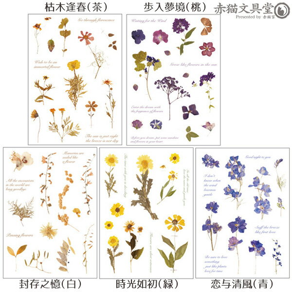 Rakuten - 透明シール 1100274「ドライフラワー」 シャビーシック 控えめ dryflower