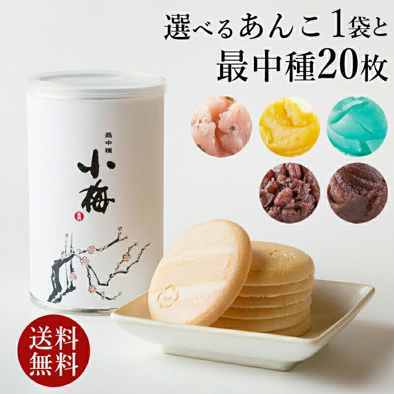 ＼マラソンP5倍／ 最中手作りセット(最中1缶＋あんこ1袋) もなか 和菓子 送料無料 ギフト 【あんこ5種類から1つ選べる】 つぶあん こしあん お菓子 お取り寄せ あんこ お歳暮 スイーツ 高級 お供え物 プレゼント 【熨斗不可】