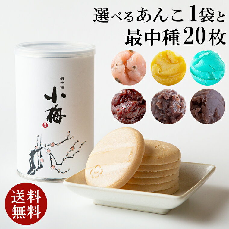 ＼マラソンP10倍／ 最中手作りセット(最中1缶＋あんこ1袋) もなか 母の日 和菓子 プレゼント  ...