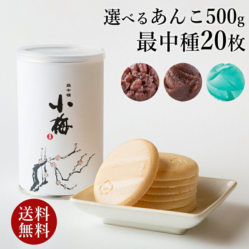 最中手作りセット(最中1缶＋あんこ1袋) もなか 送料無料 和菓子 ギフト 【あんこ3種類から1つ選べる】 お中元 お菓子 お取り寄せ あんこ スイーツ 高級 お供え物 プレゼント 【熨斗不可】