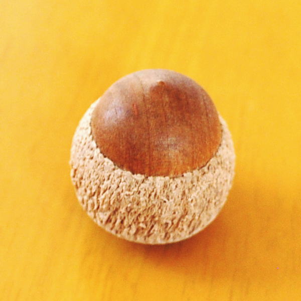 木製どんぐりおきあがりこぼし