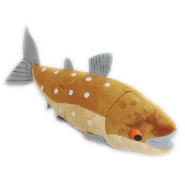 送料無料　魚　（さかな）　ぬいぐるみ　いわな　　サカナ　岩魚　イワナ　かわいい　縫いぐるみのサムネイル