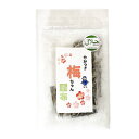 やみつき 梅ちゃん 昆布 20g 大橋水産 梅こんぶ