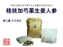 【クーポン発行中!】桂枝加芍薬生姜人参湯 ケイシカシャクヤク...