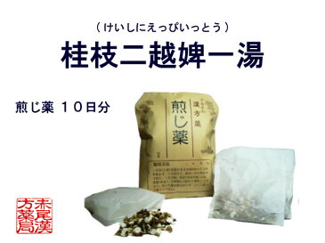 桂枝二越婢一湯 ケイシニエッピイットウ 煎じ薬 10日分 感冒　頭痛　腰痛　筋肉痛　関節の腫れや痛みのある方　風邪 薬局製剤　けいしにえっぴいっとう