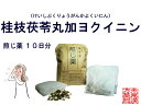【クーポン発行中】桂枝茯苓丸料加ヨク苡仁 ケイシブクリョウガ...