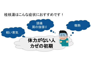 桂枝湯　ケイシトウ　煎じ薬　20日分　風邪の初期　感冒　頭痛　発熱　神経痛　鼻かぜ　悪寒　リウマチ　薬局製剤 けいしとう