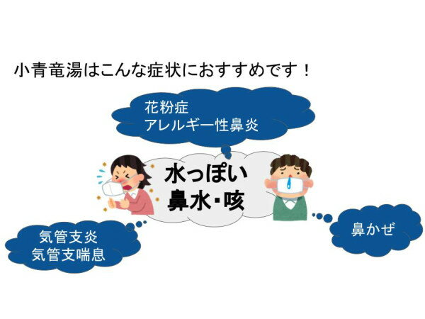 【クーポン発行中！】小青竜湯　しょうせいりゅうとう　240錠　伸和製薬　錠剤　約20日分　くしゃみ　鼻水の多い花粉症　風邪　鼻炎　アレルギー性鼻炎　気管支炎　喘息　浮腫み（むくみ）第2類医薬品　ショウセイリュウトウ　セルフメディケーション税制対象 2