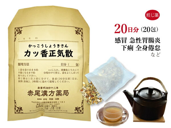 カッ香正気散　カッコウショウキサン　煎じ薬　20日分20包　暑さによる食欲不振　感冒　風邪　急性胃腸炎　下痢　全身倦怠　薬局製剤　かっこうしょうきさん