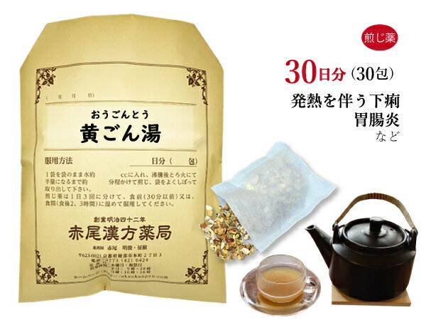 【クーポン発行中！】黄ごん湯 オウゴントウ 煎じ薬30日分30包 発熱 みぞおちのつかえ 下痢 胃腸炎 薬..
