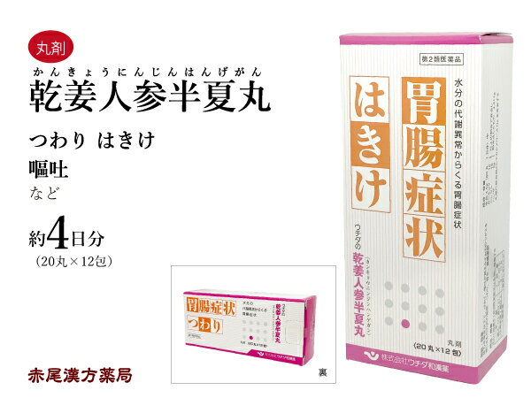 【クーポン発行中！】乾姜人参半夏丸　カンキョウニンジンハンゲガン　20丸×12包　ウチダ和漢薬　つわり　吐き気　胃炎　胃腸虚弱　第2類医薬品　かんきょうにんじんはんげがん