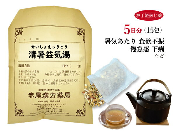 清暑益気湯　セイショエッキトウ【メール便送料無料】お手軽煎じ薬5日分15包　暑気あたり　暑さによる食欲不振　下痢　夏痩せ　全身倦怠感　薬局製剤　せいしょえっきとう