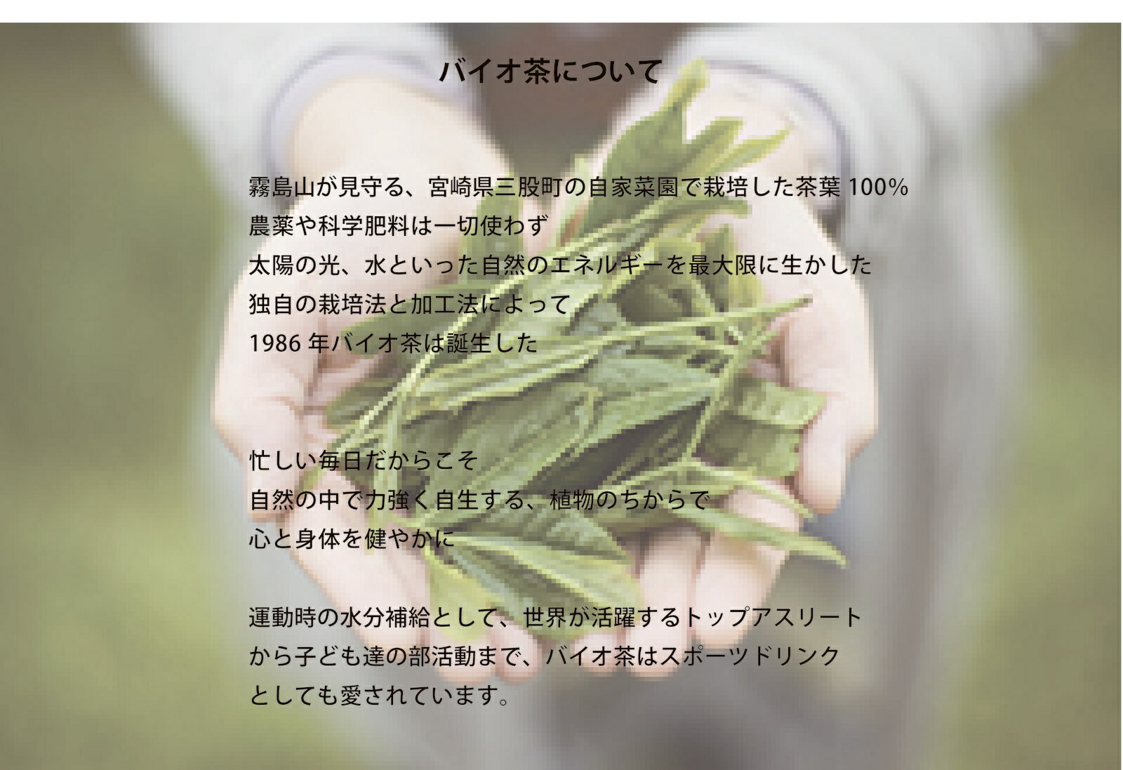 everyday 焙煎茶　S　　3g×10パック　入り　宮崎上水園のバイオ茶農薬や化学肥料を使わないお茶です。 3