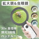 30倍 高倍率 拡大鏡 LEDライト付き 30倍 虫眼鏡 ルーペ 高倍率 見やすい 拡大レンズ 調光3段階 ルーペ 手持ちルーペ 12個LEDライト付 読書ルー...