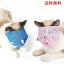 猫用マスク フェイスマスク 補助マスク メッシュ 爪切り 通院 点耳薬 耳掃除 点滴 介護ケア ソフトタイプ 送料無料