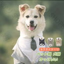 犬服 ドッグウェア 春夏用 犬の服 おしゃれ ネクタイスーツ プレゼント 記念日 お祝い 正装 前撮り 小型犬 中型犬 大型犬 かっこいい 可愛い 結婚式 スー...