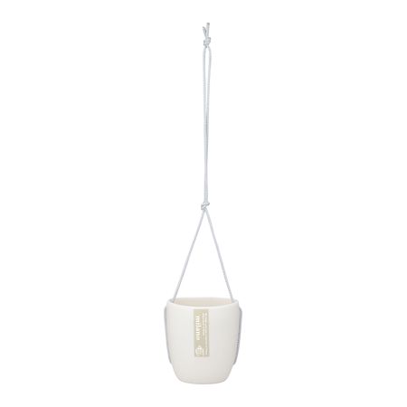 (LINEクーポン有)アップルウェアー 4905980122413 トッピングPOT 2．5寸用ホワイト