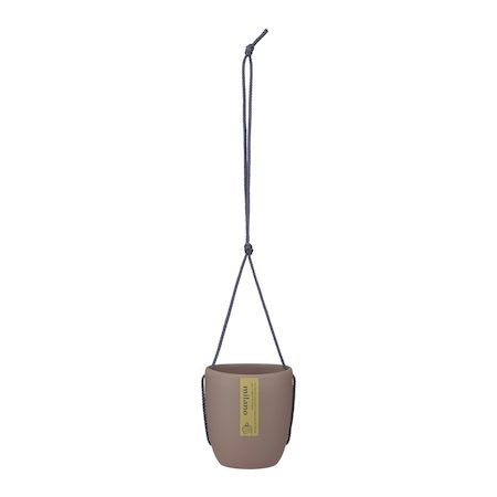 (LINEクーポン有)アップルウェアー 4905980122451 トッピングPOT 2．5寸用モカブラ...