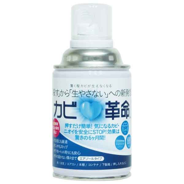 4906907052455 【30個入】 カビ革命エアゾール 200mL【キャンセル不可】