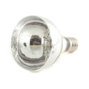 4984339600543 シンワ 投光器替球 110V 300W