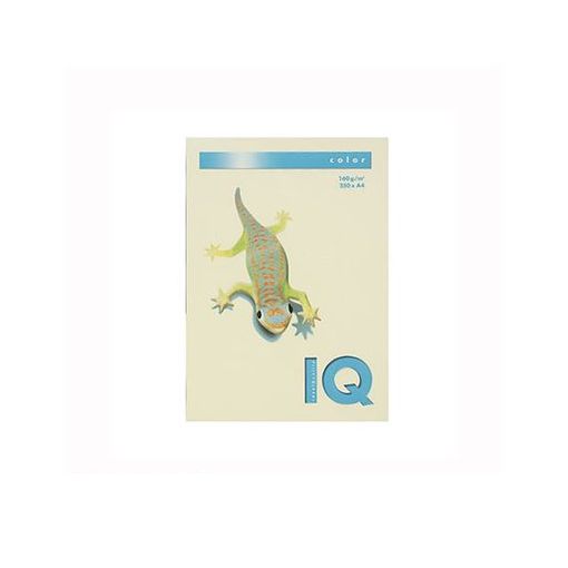 伊東屋 BT830 バニラ バイオトップカラーA4 250枚入 BT830バニラ【AKB】