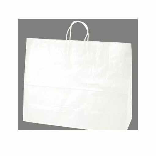 ササガワ タカ印 50-6700 手提げバッグ　10P白無地　超特大横長 506700【AKB】