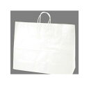 ササガワ タカ印 50-6700 手提げバッグ 10P白無地 超特大横長 506700【AKB】