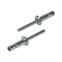 【即納在庫品】「直送」株 ロブテックス SNS48069EB 高強度ブラインドリベット Sボルト 丸頭 Φ4.8/板厚6.9mm 100本入