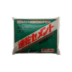 家庭化学工業 3590304000 速乾セメント グレー 4kg