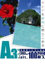 オーム電機 00-5544 ラミネートフィルム 100μ A3 100枚 005544