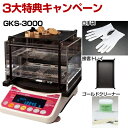 【3大特典キャンペーン中!】 GKS-3000 貴金属テスター 貴金属比重計 貴金属判定器 測定範囲:最10g〜最大3kg GKS3000 GK-2000の後継...