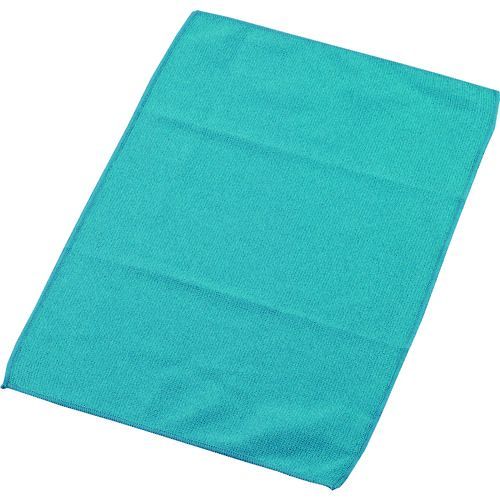 【即納在庫品】「直送」4904771104263 EFウィンドークリーナー マイクロダスター 1個入 EFウィンドクリーナー ハンディ