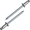 【即納在庫品】「直送」ロブテックス LOBSTER NSS 4-6 ブラインドリベット ステンレス/スティール製 4−6 1000本入 箱入 NSS46 ブラインドブラインドリベット ステンレス/スティール製 4−6 1000本入 箱入 エビ ステンレス スティール NSS4-6 箱入 tr-1259334(4)