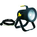 【即納在庫品】「直送」ムサシ MUSASHI 4954849509254 全天候型 LED作業灯 スカイライト25W