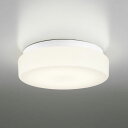 OW269011LD オーデリック LED浴室灯 ポーチライト FCL30W相当 電球色 ホワイト 1