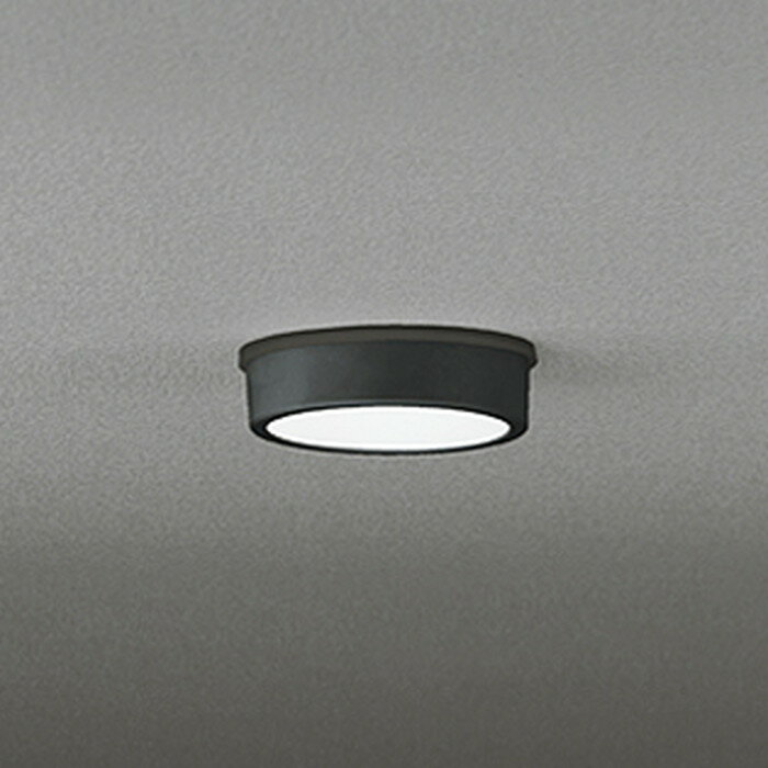 オーデリック OG254529R