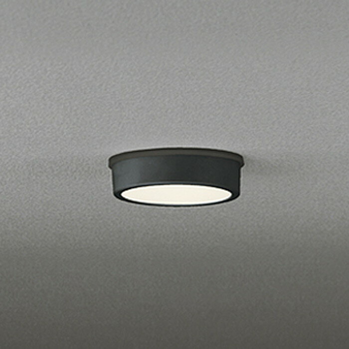 オーデリック OG254530R