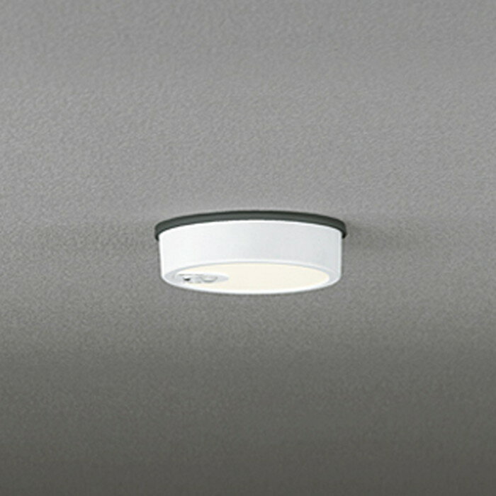 オーデリック OG254534R