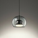 OP273006LR オーデリック ペンダントライト 白熱灯器具60W相当 電球色 レール取付専用