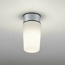 OW009395LCR オーデリック 浴室灯 白熱灯器具60W相当 電球色 防雨防湿型