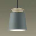LGB10859 パナソニック ペンダントライト ランプ別売 LEDフラットランプΦ70用