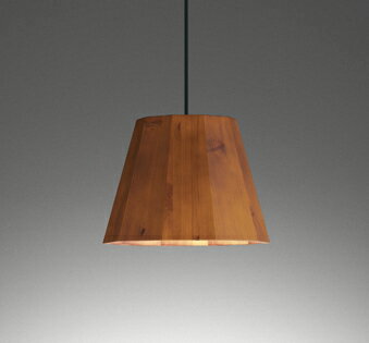 OP252944NR オーデリック ペンダントライト 白熱灯器具60W相当 昼白色 レール取付専用