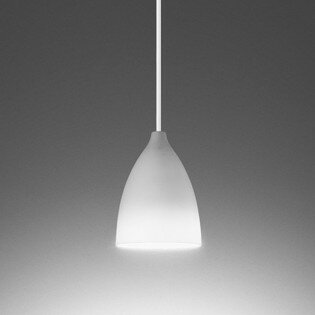 OP252576WR オーデリック ペンダントライト 白熱灯器具60W相当 温白色 レール取付専用