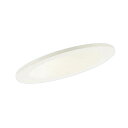 LSEB5417LE1 パナソニック ダウンライト LGD1400VLE1相当品 傾斜天井用 埋込穴Φ100 白熱灯器具60W相当 温白色 拡散型