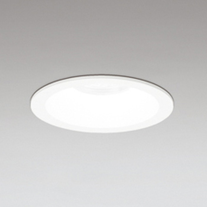 OD361116R ǥå 饤 ꦵ100 Ǯ100W  Ĵǽ