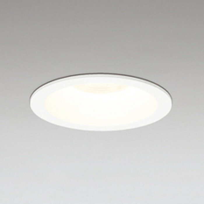 OD361117R ǥå 饤 ꦵ100 Ǯ100W ŵ忧 Ĵǽ